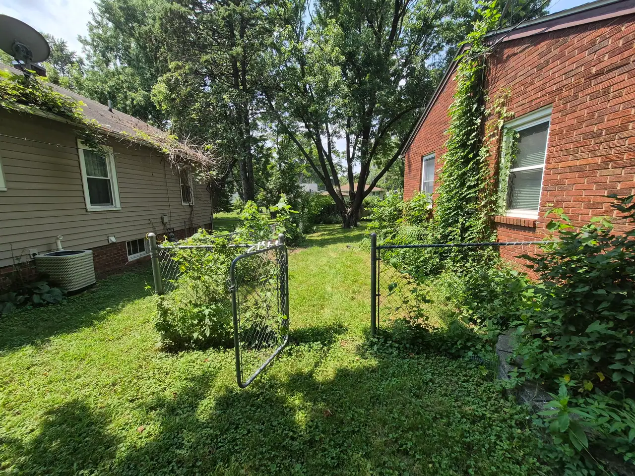 Overgrown Des Moines backyard before cleanup, with ivy covering the brick wall and brush blocking the chain-link gate