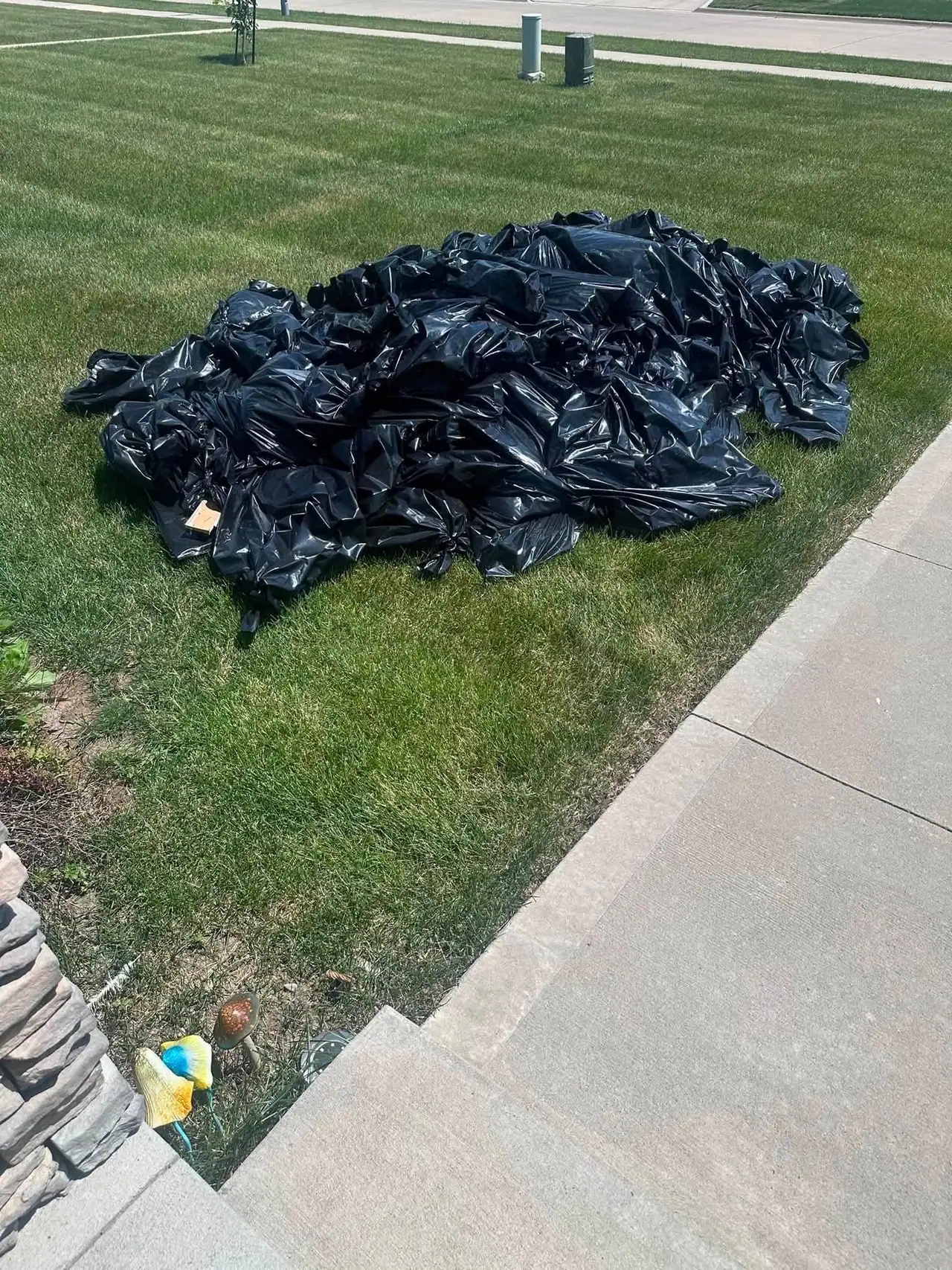 Large pile of filled black bags on a front lawn in Des Moines waiting to be hauled away